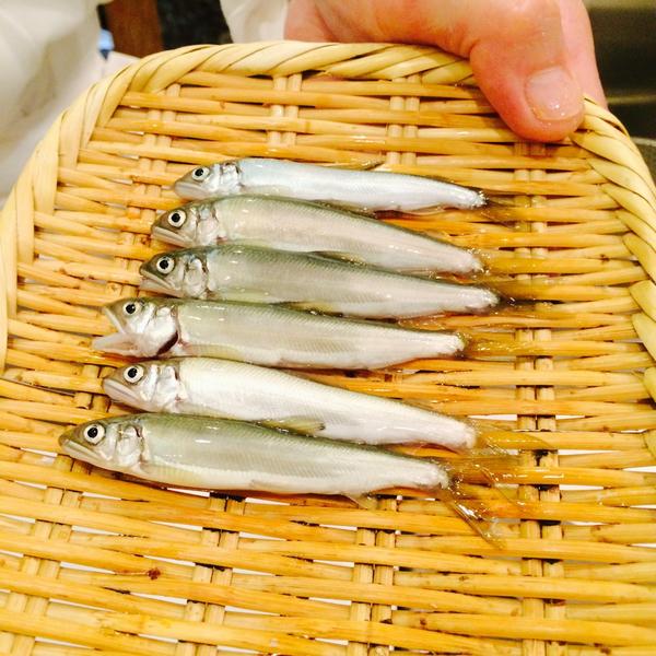 chefjoseandres's tweet photo. amazing AYU from Tokio bay! very seasonal....at Tempura temple Tenshin... http://t.co/ELS7rT7Y1c
