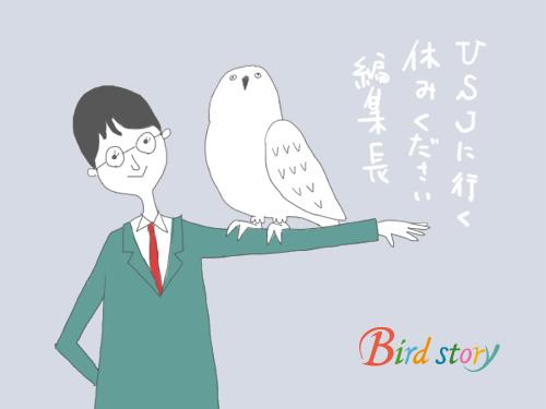 Birdstory Usjのハリーポッターが 本日オープンとのこと 白フクロウのヘドウィグちゃん あのつぶらな瞳が忘れられません Dvd再度見直そう Usj行きたい Http T Co Ke1tlufm Twitter