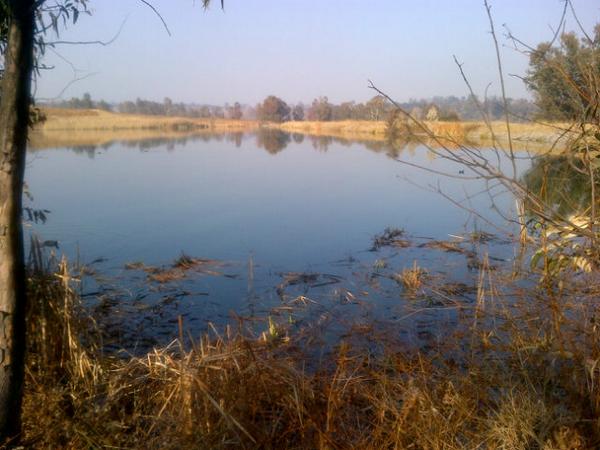 gustavroos99's tweet image. 20k trail run - 1:31:21,  + #awesomescenery