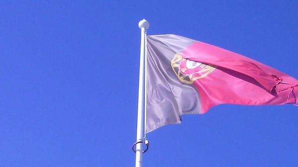 Fin de una experiencia academica irrepetible. Hasta pronto Portugal. Hasta nunca Erasmus.