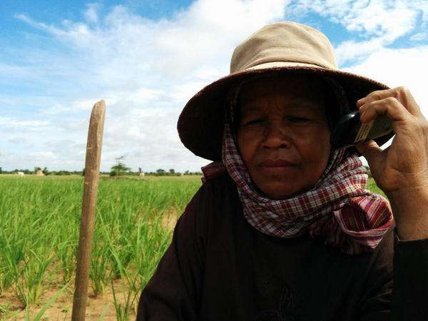 iLabSEA's tweet image. Great tips &amp;amp; info for farmers through mobile phone =&amp;gt; better outcomes 
#verboice #cambodia #mgriculture