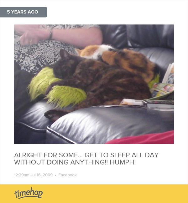 LDHewitt89's tweet image. Exactly 5 years ago today! (via @timehop) timehop.com/c/fup:10451222…