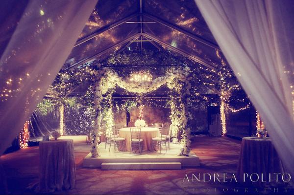 beyondLD's tweet photo. Do you think this is a romantic fairy tale? We do! #dfwevents, #weddinglighting #arlingtonhall #andreapolito http://t.co/RfyYvVGSU9