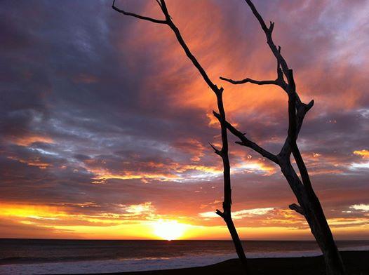 cabotortugas's tweet photo. Un hermoso atardecer en monterrico, #SaleMonterrico :) http://t.co/wrGJ1cm8eb