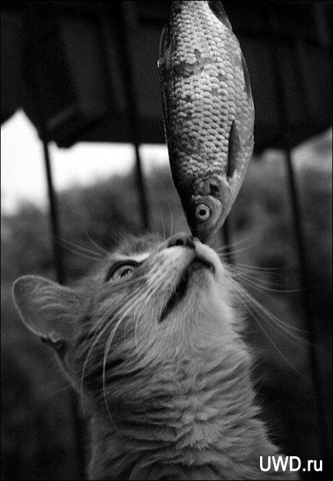 PattyVierra's tweet photo. придумайте название http://t.co/Ho5G3Jgu89
