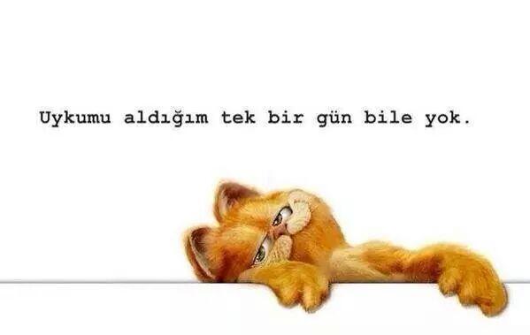 08Glm's tweet photo. Durum aynen buu=) http://t.co/uz1wr9Gh3r
