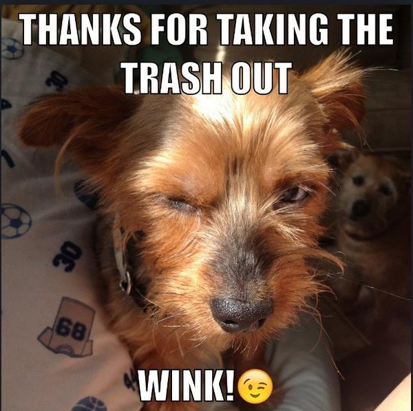 takejunk's tweet image. Happy to recycle your trash @spazwaaf #Recycle #junkremoval #trashiscash
