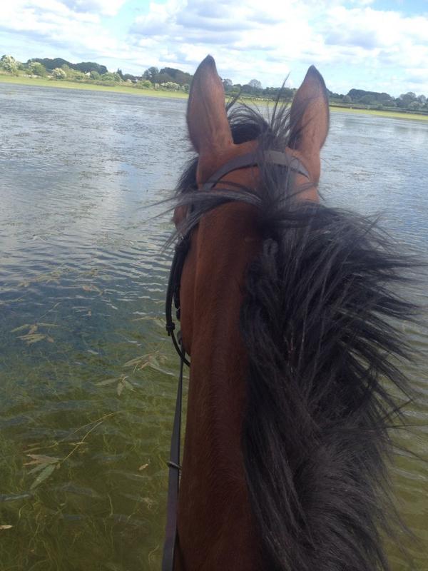 dylancabs7's tweet photo. Coach loving the water .. #racing http://t.co/petzHt9XTc