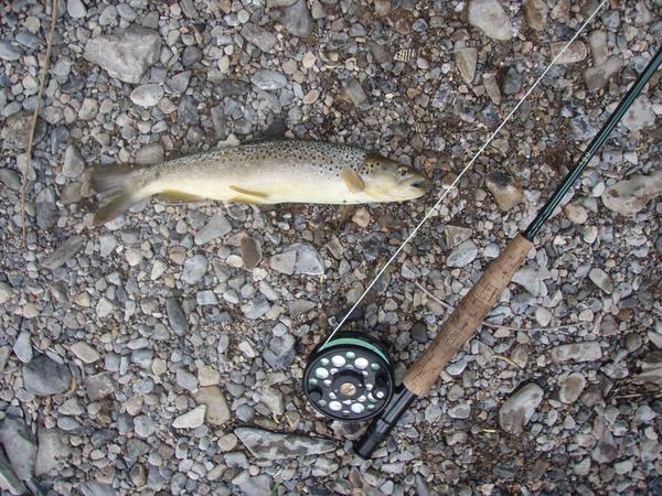 FishNh's tweet image. 