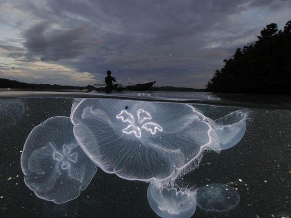 Luis_spiteee's tweet photo. this is so breathtaking http://t.co/lRxmbmaXhG