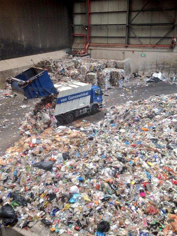 View image on Twitter