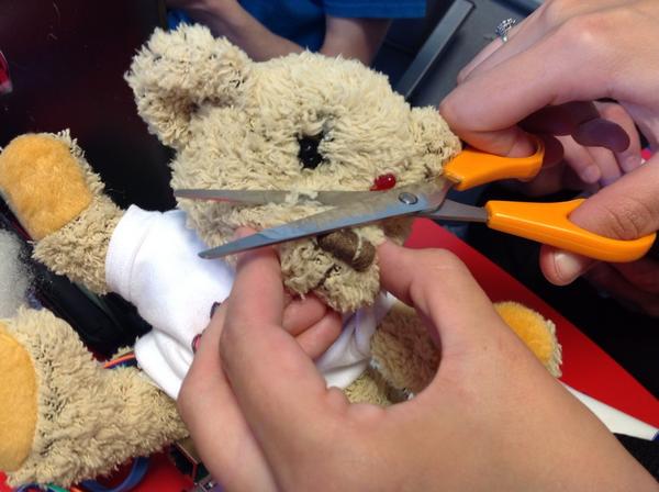 BabbageBear's tweet photo. Getting a trimming! Don't chop my nose off!! http://t.co/sxyzdezQf6