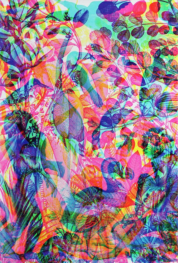 _designjunction's tweet photo. @OutlineEditions set to launch limited edition prints at #dj14 Including Carnovsky's 'La Selva' #retailzone #LDF1 http://t.co/5AfkOtpNvj