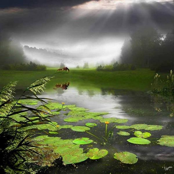 Gabriele_Corno's tweet image. Heaven..... by Igor Zenin