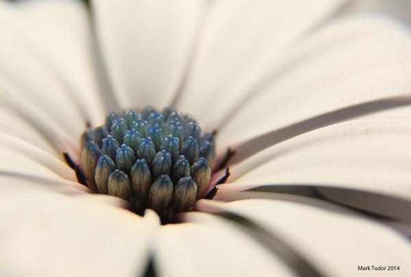 ukpackshot's tweet image. Found this out today totally forgot about it :) #brubisbrill #birmingham #photography #artist #usableArt