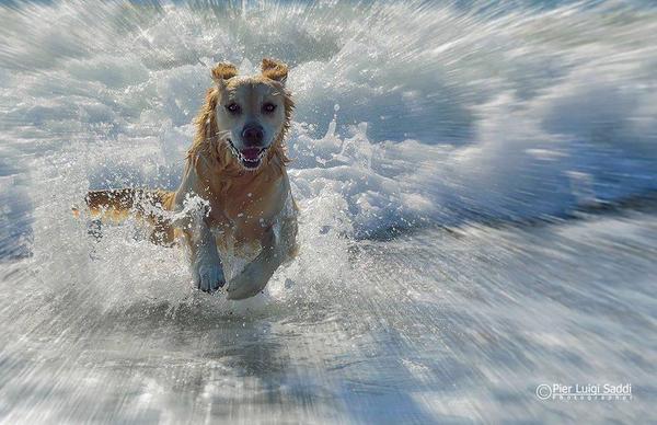 Gabriele_Corno's tweet image. Playing with waves.... by Pier Luigi Saddi