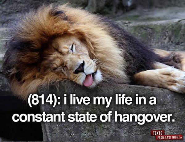 TequilaJacksOtt's tweet photo. And I thought it was only me... #StoryOfMyLife #SorryNotSorry #HeyWeHaveFun #TequilaJacks http://t.co/BLbmgDo5ad