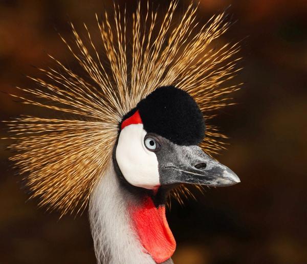 Paul Ellenbogen tweet media