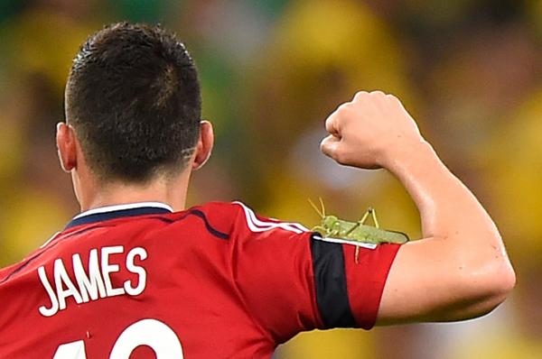 BBCSport's tweet photo. Best player, best goal &amp; what went wrong for England? BBC pundits on 2014 World Cup: http://t.co/ae2zt6DFWt http://t.co/zABb3IezGm