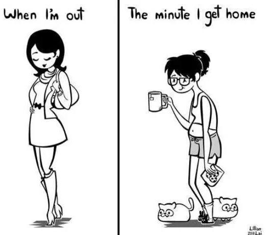 AndreaRussett's tweet image. never have I seen a picture more accurate to my life