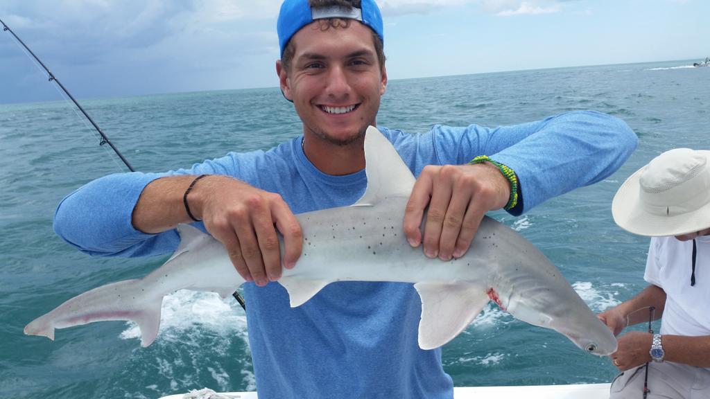 BsmhpUSCMAASR3q.jpg:large