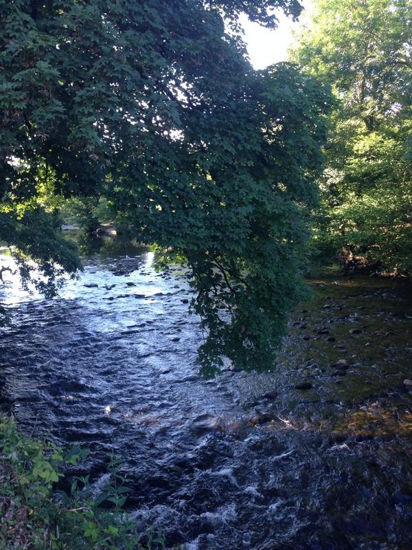 canadianindevon's tweet photo. I'm sat here with a pint! #yaysummer http://t.co/oyHjFjN2Lc