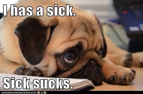 Oh my... I am so unwell. It's been years since. I've had a fever. I'm needing some love 😫 #gettingdownwiththesickness<a href="/tag/gettingdownwiththesickness"class="tags"><span>#gettingdownwiththesickness</span></a>
