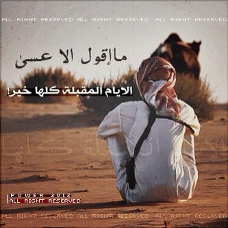 asdd12441 tweet picture