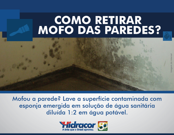 Dica do dia: como tirar mofo da parede?