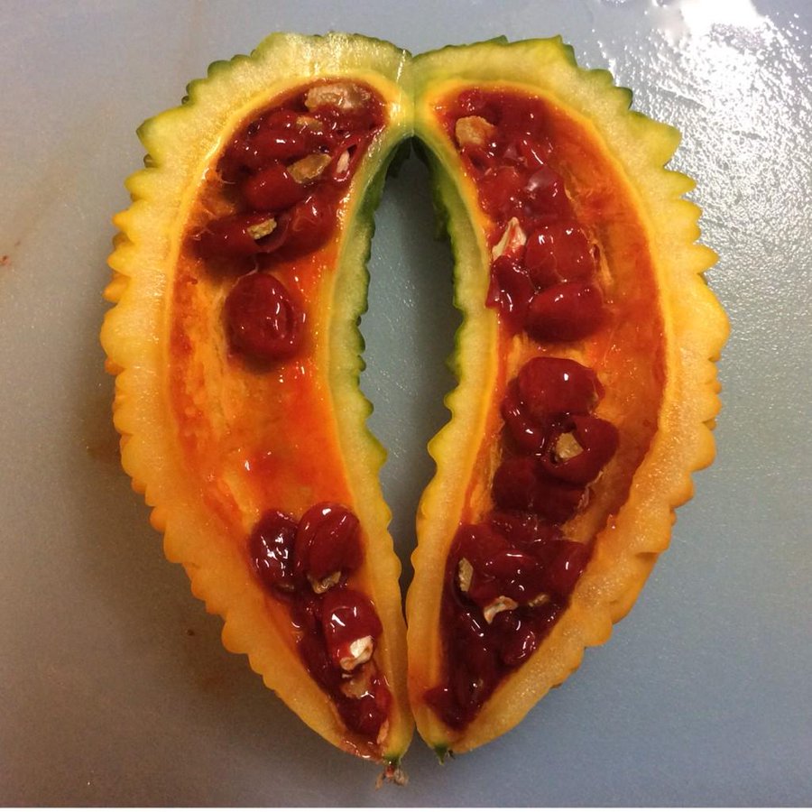 初めて知った 画像あり 熟したゴーヤは中が真っ赤で種が甘いらしい Sj News