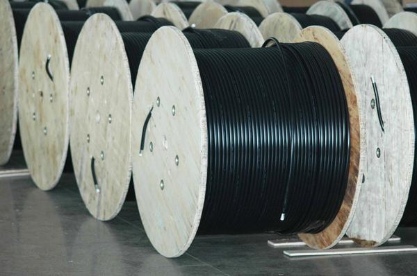 cable_Ken tweet picture