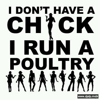 Khaleed persie (@khaleedpersie) on Twitter photo 