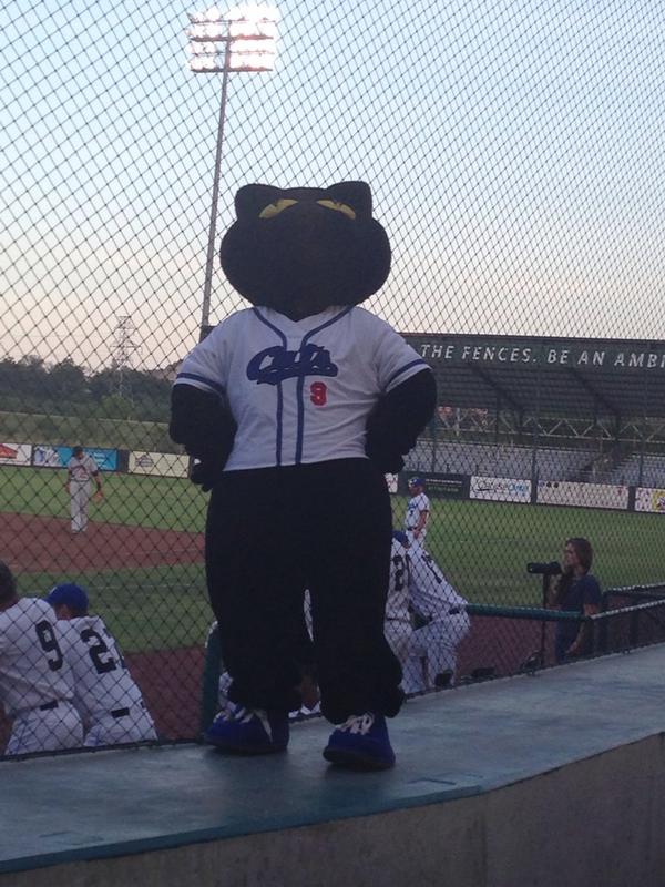 Why does Dodger wear #9? <a href="/FortWorthCats/">Fort Worth Cats</a>