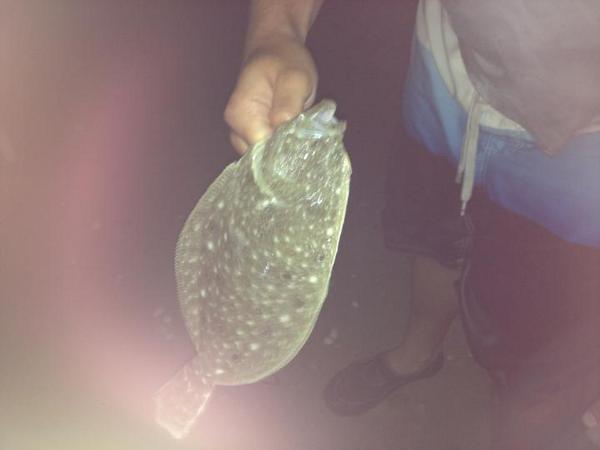 C_Patt57's tweet photo. Flounder http://t.co/OXwwfBbddo