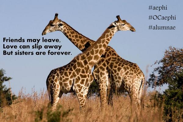 ocAEPhi's tweet photo. #sistersareforever @AEPhi http://t.co/cnPm4Y8KHx