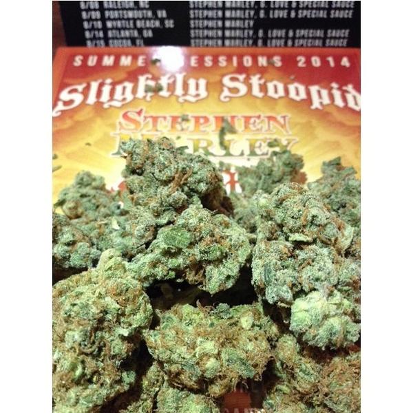 WeedStache's tweet image. I can't wait to see @slightlystoopid and @stephenmarley at #summersessions2014 #stupidheads #eselocos 
#2am