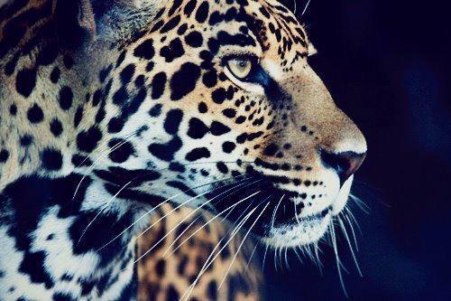 DYurkowski's tweet image. 