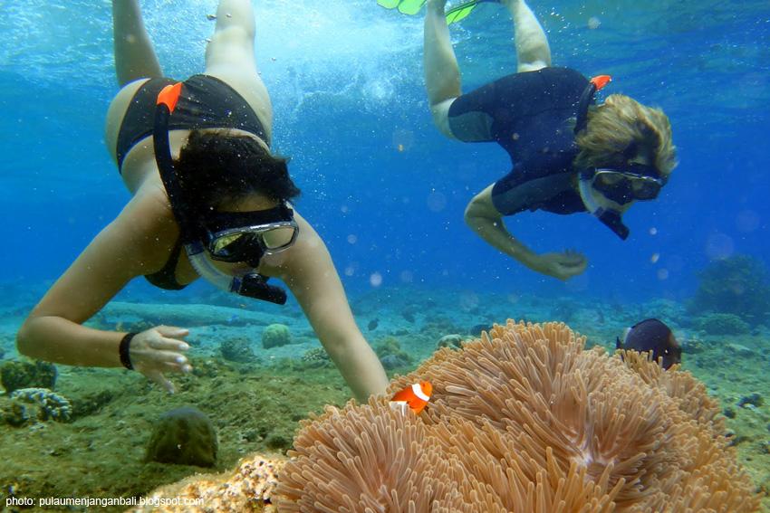 Permalink gambar yang terpasang