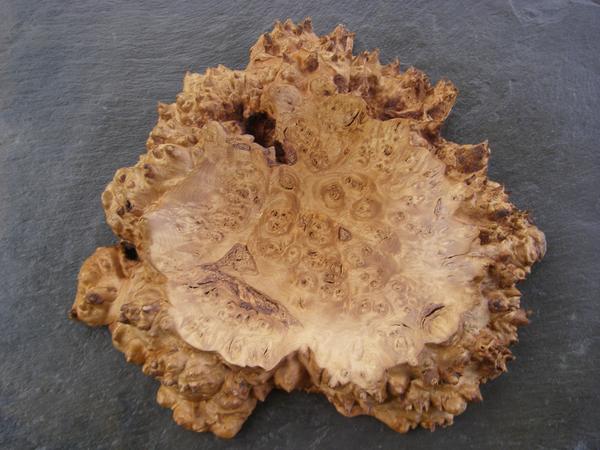 MartinDamen1's tweet photo. Funky Beech Burr Bowl - Come and see this and other new work @ArtinAction1 http://t.co/WfLmG5O9Tb