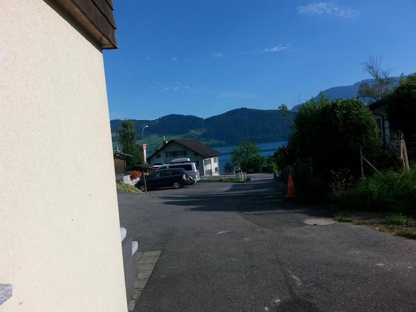 steingier tweet picture