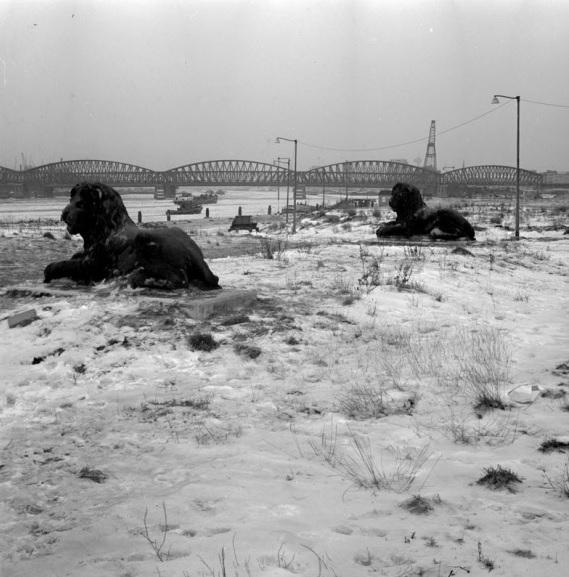 Rotterdamvntoen's tweet image. De aanleg van de Maasboulevard met leeuwen van de Koningsbrug, 1962-1966. ©Lex de Herder. Bron: @stadsarchief010