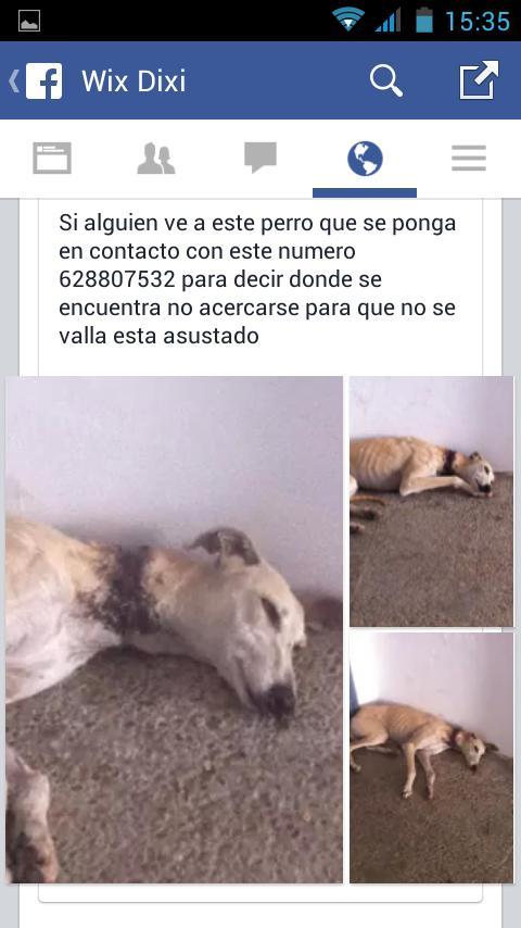 gemags96's tweet photo. "@mariapozuelogar: Difundir por favor!! Es urgente!! http://t.co/WhW2fN1anH"