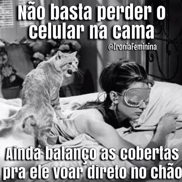MFernandesrod tweet picture