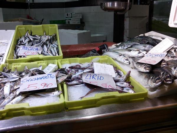 euskalsouvenirs's tweet image. Arraindegia Gernikako Merkatu Plazan. Pescadería en la Plaza del Mercado de Gernika
#GureSukalkintza #Arrain #Pescado