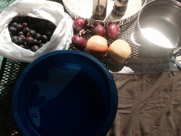 Spiced plum chutney in the making #dawson