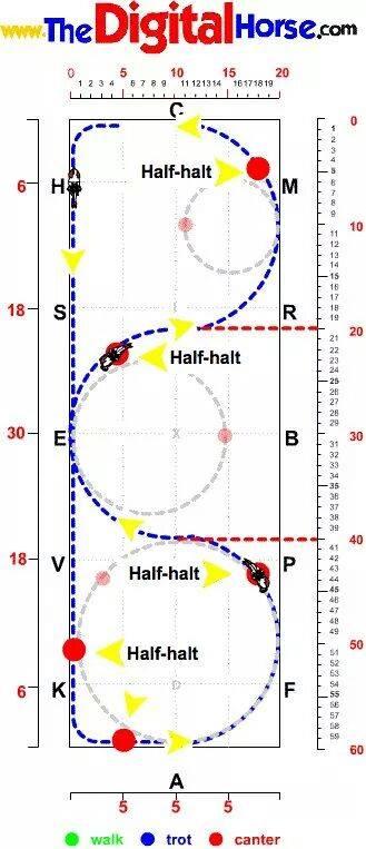 EquinityUK's tweet image. Ridden exercises involving lateral flexion help supple &amp;amp;stretch the horse, improving straightness, balance &amp;amp; fluidity