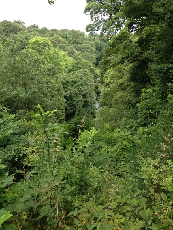 LLOBMATHS's tweet image. The best view in the world??????