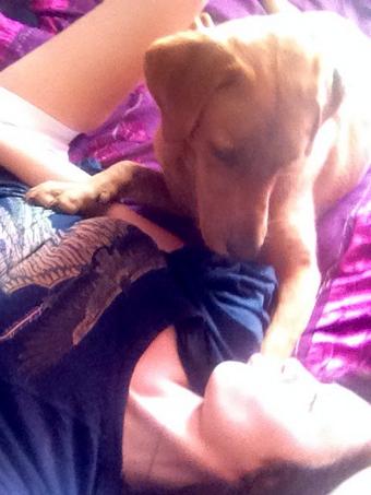 Love like no other. 🍊 http://t.co/yvsF08kmvU<a href="/tag/kurwa"class="tags"><span>#kurwa</span></a>