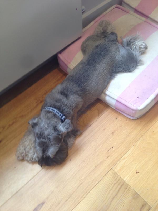 How can that be comfy???