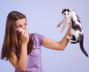 100blogs's tweet image. Alergia a las mascotas - bit.ly/1oHFhKo #Consejos